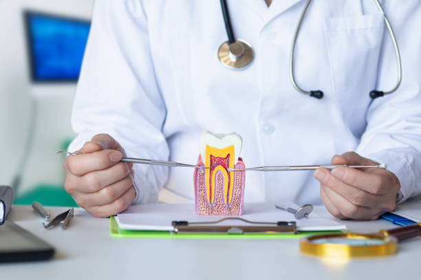 Best Emergency Orthodontic Repairs in Enosburg Falls, VT